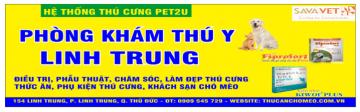 Dịch vụ hỏa táng chó mèo, thú cưng tại Dĩ An, Bình Dương